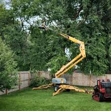Best Landscape Design and Installation  in Franklin, NH