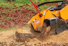 Best Tree Maintenance Programs  in Franklin, NH